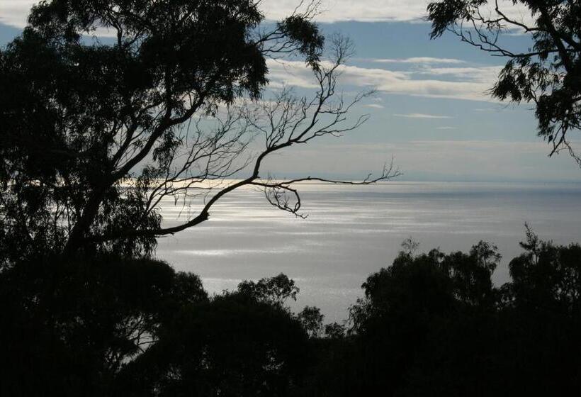 침실 1개 바다 전망 아파트, Dream Views At Arthurs Seat B & B