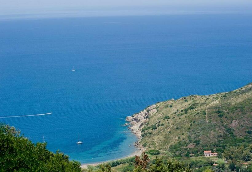 1ベッドルームアパートメント, Nisportino Domus