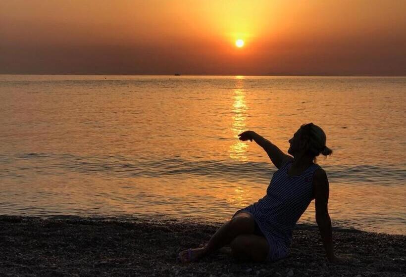 1ベッドルームアパートメント, Nisportino Domus