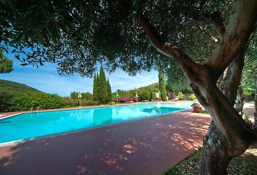 1ベッドルームアパートメント, Nisportino Domus