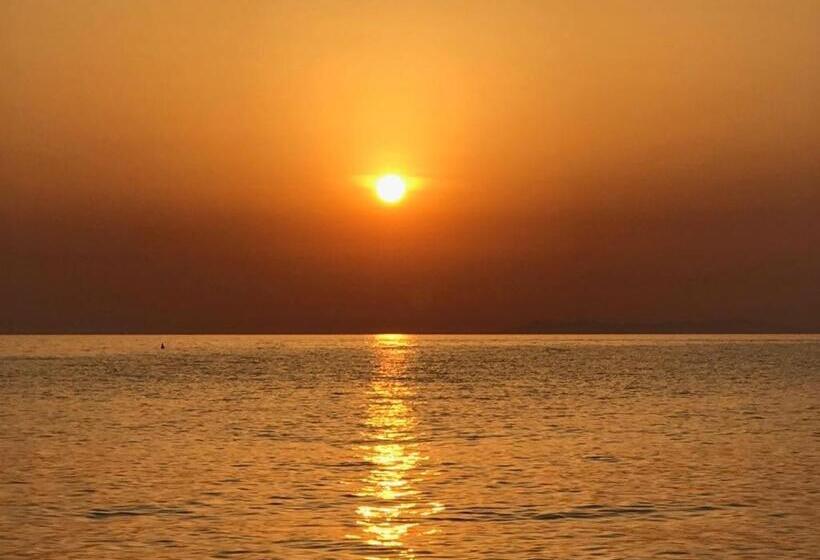 海の見えるスタンダードスタジオ, Nisportino Domus