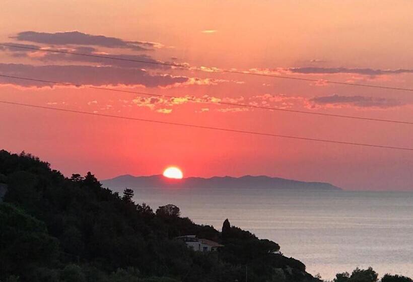 プールの見える1ベッドルームアパートメント, Nisportino Domus