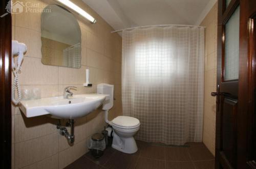 Семейный Номер, Pensiunea Ursul Carcotas