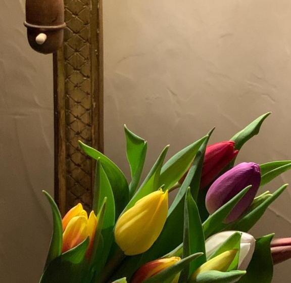 سوییت, B&b Villa Thibault