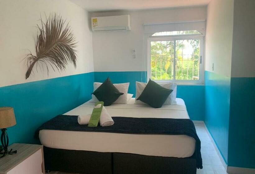 Quarto Estandar, Amaranthus