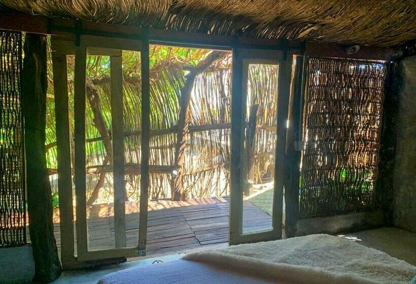 Номер Deluxe, Amaranthus