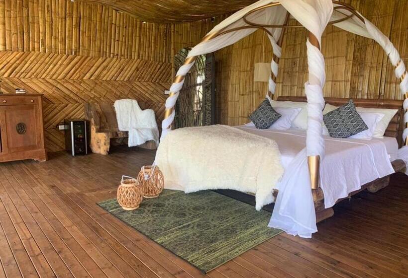 Номер Deluxe, Amaranthus