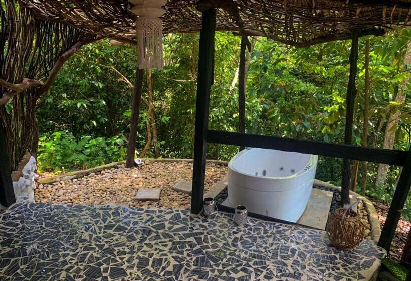 Номер Deluxe, Amaranthus