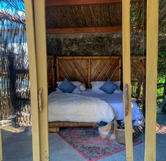 Номер Deluxe, Amaranthus