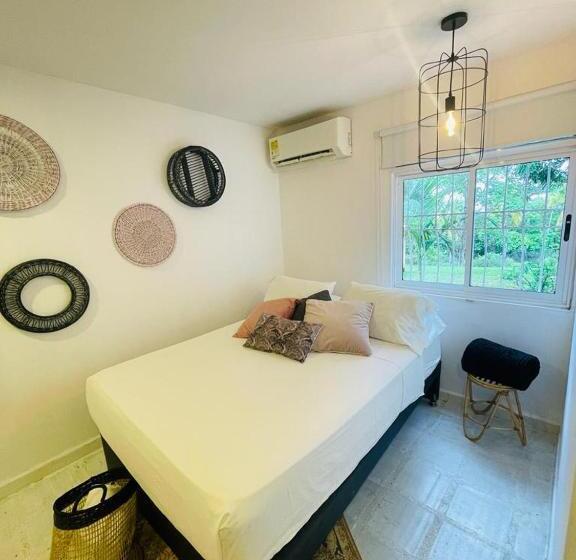 Номер Стандарт, Amaranthus