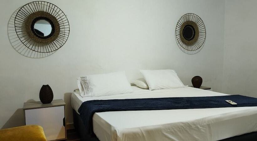 Quarto Estandar, Amaranthus