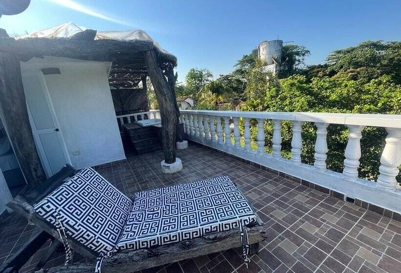 Номер Стандарт, Amaranthus