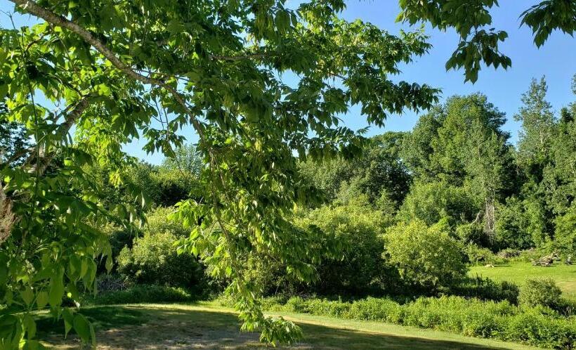 스탠다드 룸, Hawks House Inn