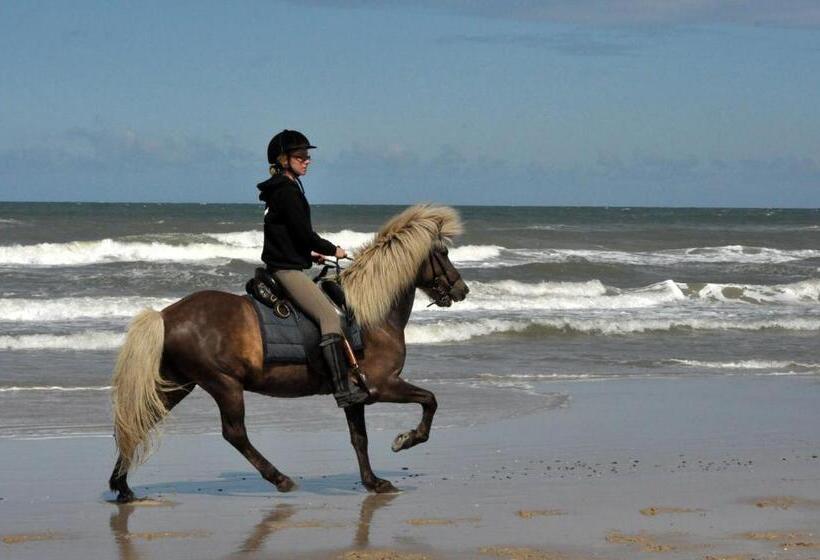 이코노미 룸 공용욕실, Nordkap Farm Holiday & Hostel