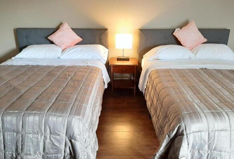 חדר דלוקס, Elm Tree Motel