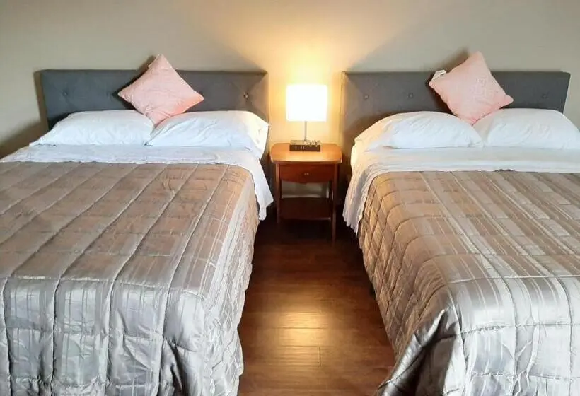 デラックスルーム, Elm Tree Motel