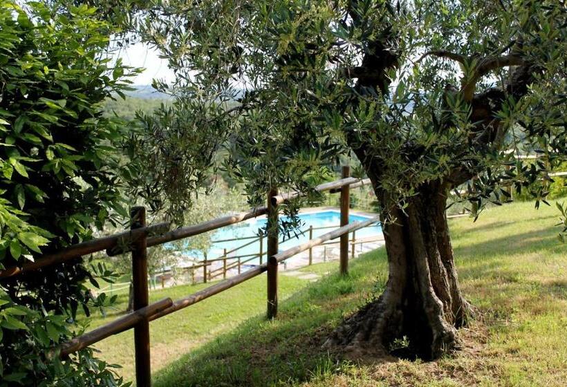 テラス付き1ベッドルームアパートメント, Agriturismo Malagronda