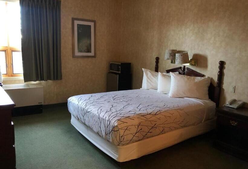 Номер Superior Адаптированный для Инвалидов, Pilgrim Inn