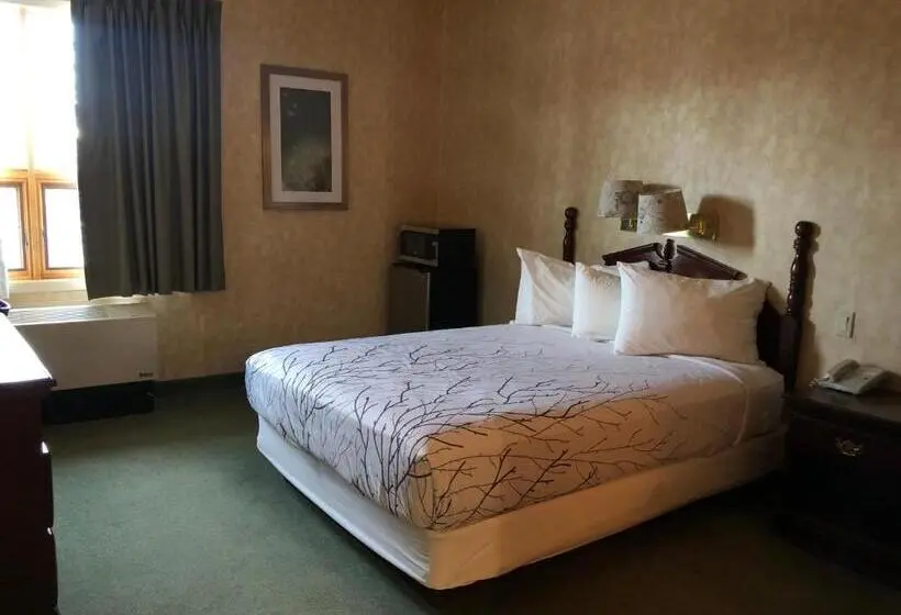 身障者適用スーペリアールーム, Pilgrim Inn