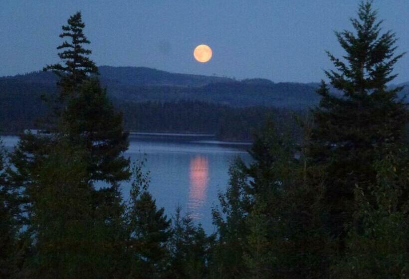 غرفة قياسية سرير كينج, Little Black Bear Lodge/b&b