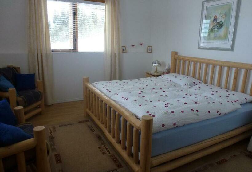 带大床的标准间, Little Black Bear Lodge/b&b