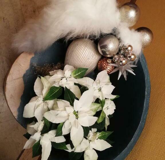 Люкс, Moulin De Schwabwiller