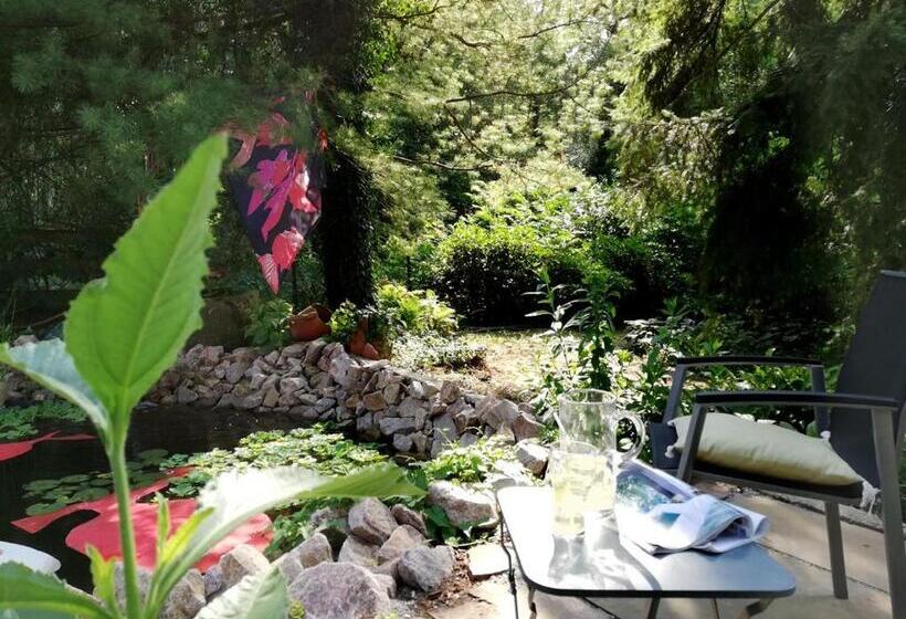 Номер Стандарт Вид на Сад, Moulin De Schwabwiller