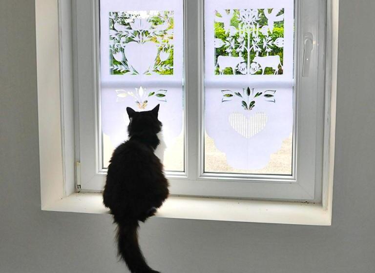 Номер Стандарт Вид на Сад, Moulin De Schwabwiller