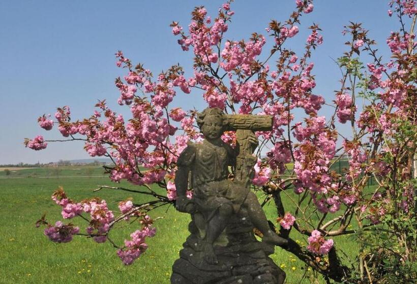 Номер Стандарт Вид на Сад, Moulin De Schwabwiller