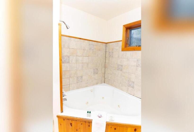 חדר דלוקס יחיד, Trails End Inn