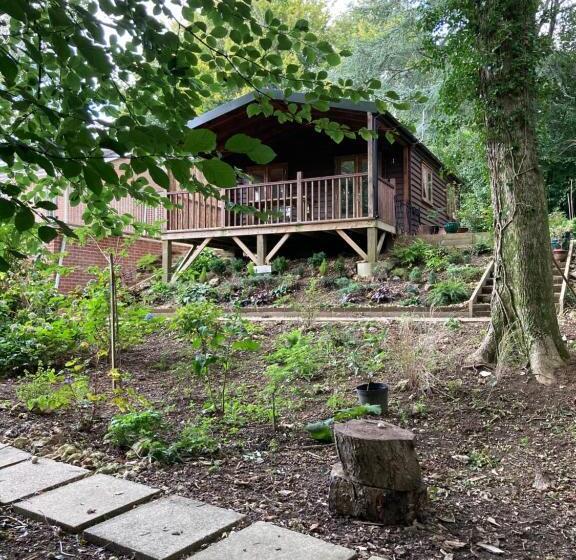 شاليه غرفة نوم واحدة, Woodland Views