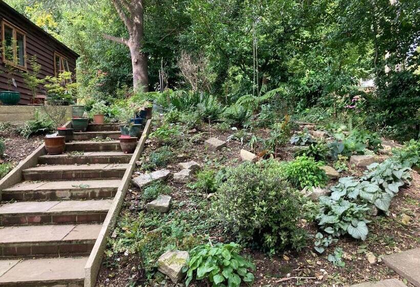 شاليه غرفة نوم واحدة, Woodland Views