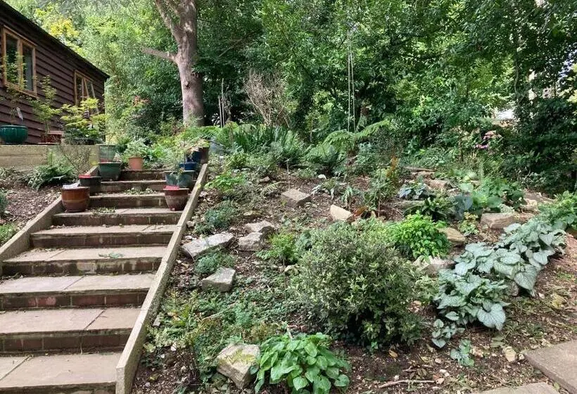 シャレー1寝室, Woodland Views