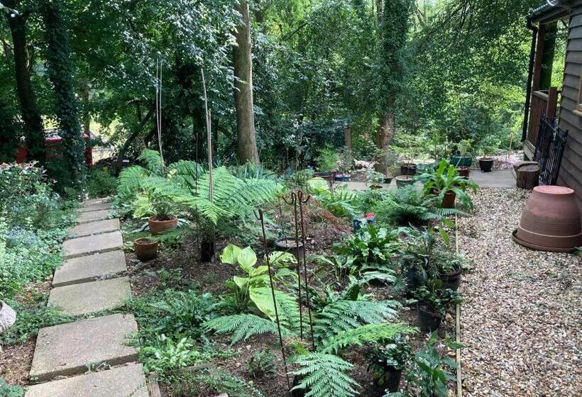 شاليه غرفة نوم واحدة, Woodland Views