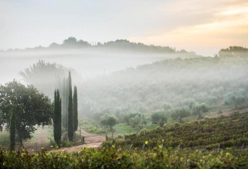 Апартаменты 2 Спальни, Agriturismo Poggio Corbello