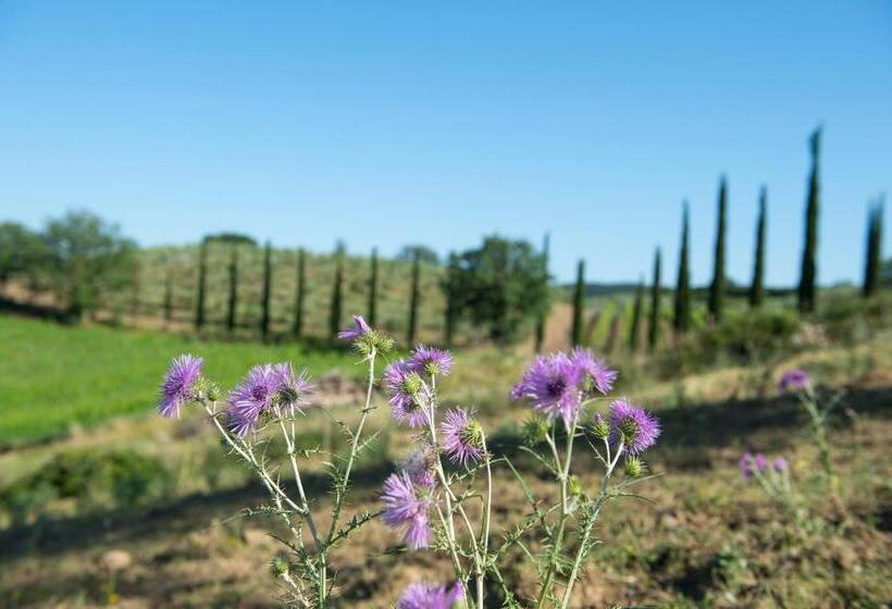침실 2개 아파트, Agriturismo Poggio Corbello