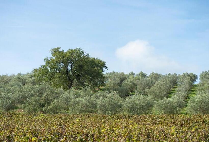 Апартаменты 2 Спальни, Agriturismo Poggio Corbello