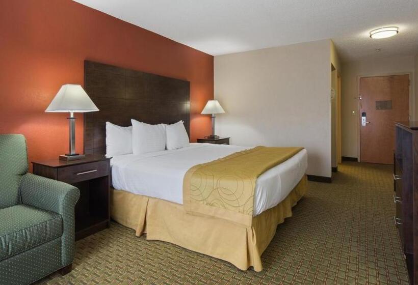 身障者適用キングサイズベッドルーム, Best Western Executive Inn   Latta