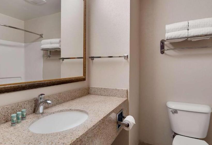 غرفة قياسية سرير كينج لذوى الإحتياجات الخاصة, Best Western Executive Inn   Latta