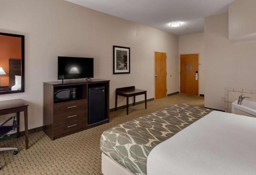 Номер Стандарт Кровать Кинг Адаптированный для Инвалидов, Best Western Executive Inn   Latta