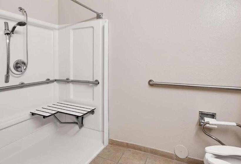 身障者適用スタンダードルーム, Best Western Executive Inn   Latta