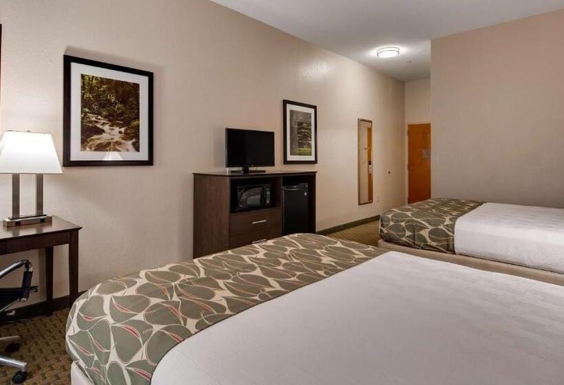 身障者適用スタンダードルーム, Best Western Executive Inn   Latta