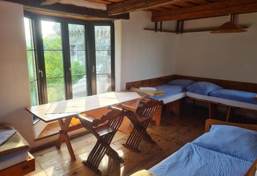 Номер Стандарт, Burg Plankenstein