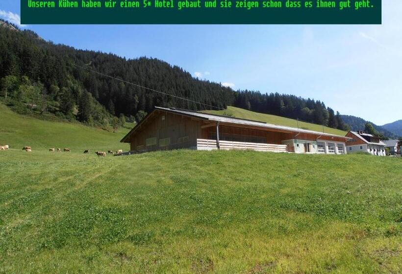 Шале 1 Спальня, Huberbauer