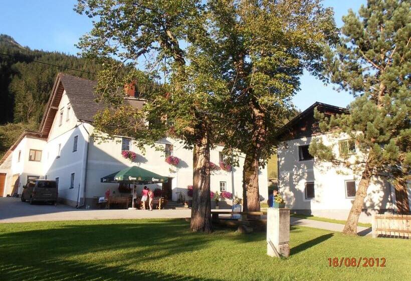 Номер Стандарт, Huberbauer