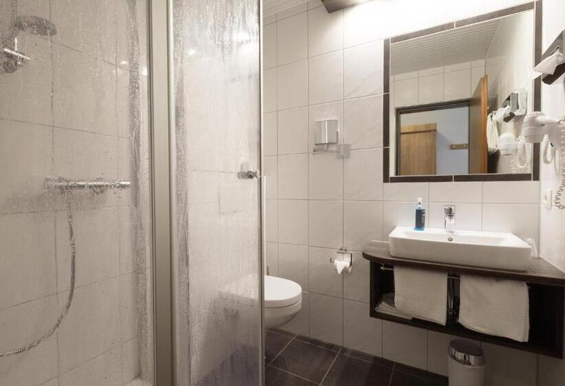 Pokój Standard, Restaurant Langen