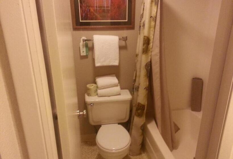 디럭스 룸, Mingo Motel