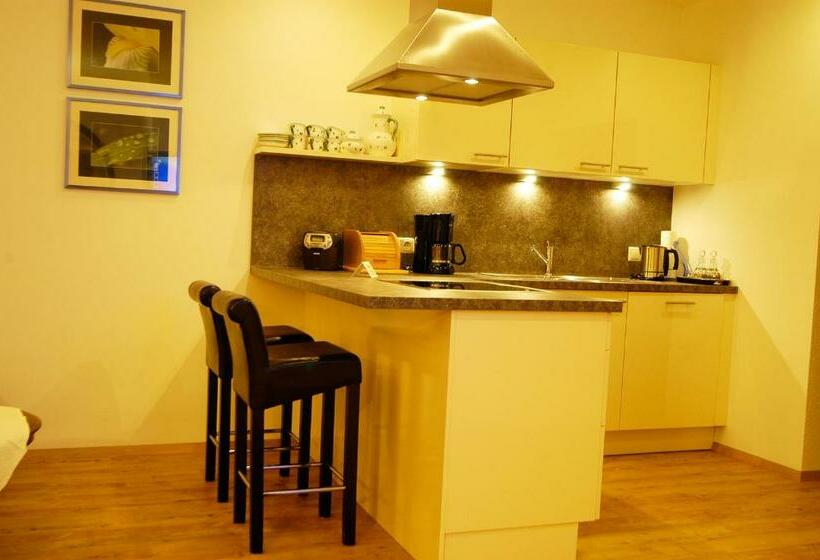 带1个卧室的公寓, Haus Acherkogel