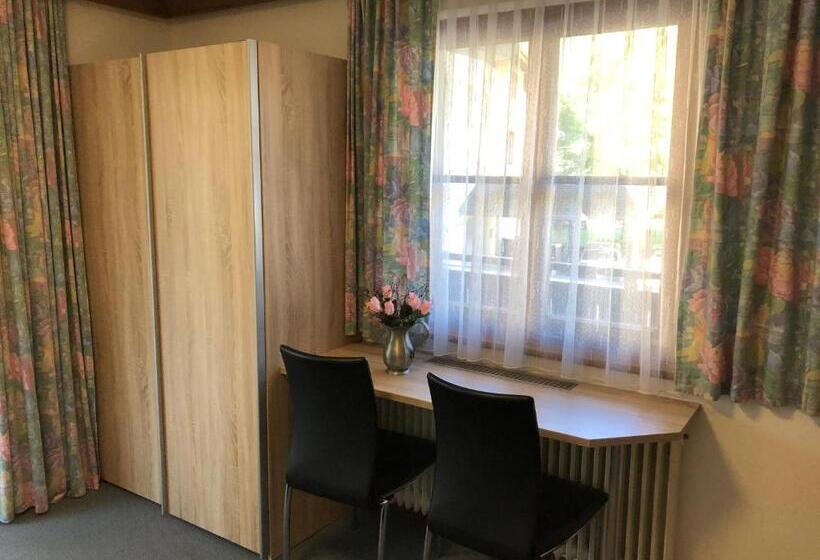 Номер Стандарт, Pension Millinger