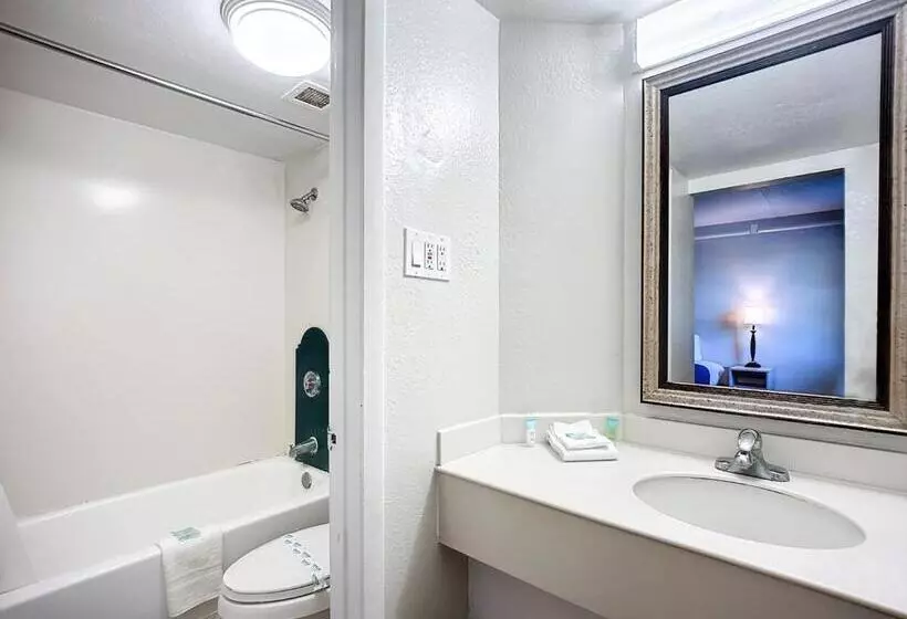 اتاق استاندارد با تخت بزرگ, Stayable Jacksonville North